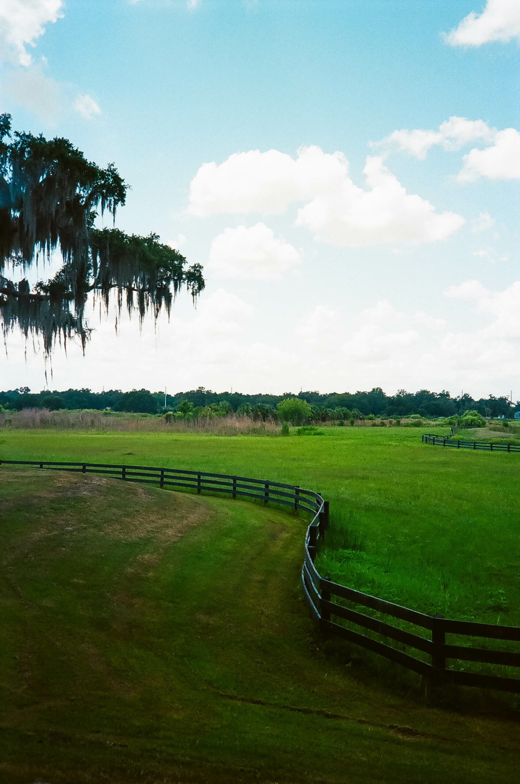 filmphotos-9